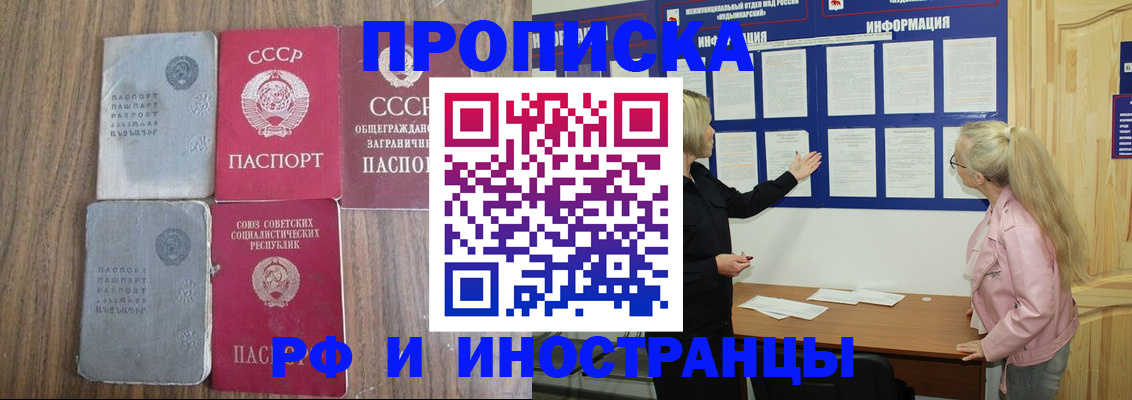 прописка для школы в Талице